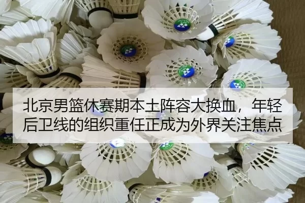 bei-jing-nan-lan-xiu-sai-qi-ben-tu-zhen-rong-da-huan-xie-nian-qing-hou-wei-xian-de-zu-zhi-zhong-ren-zheng-cheng-wei-wai-1-536.jpg